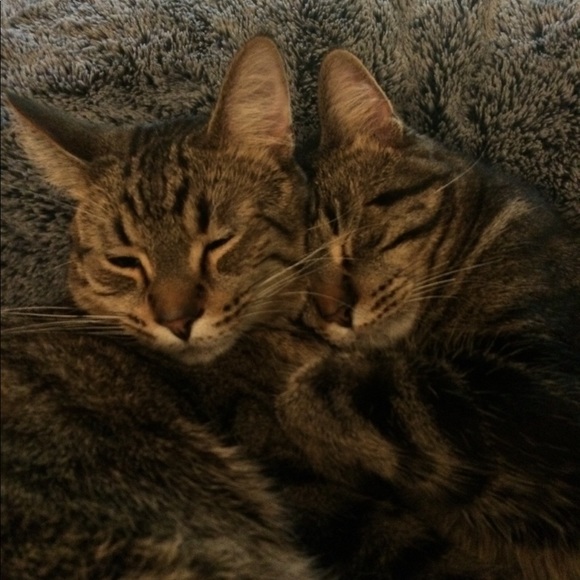 🩵🩵🩵 - Picture 6 of 6